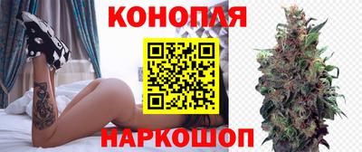 индика Можайск