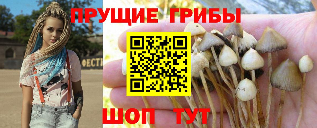 Грязи  Псилоцибиновые грибы Cubensis  купить наркотик  Вход с VPN 